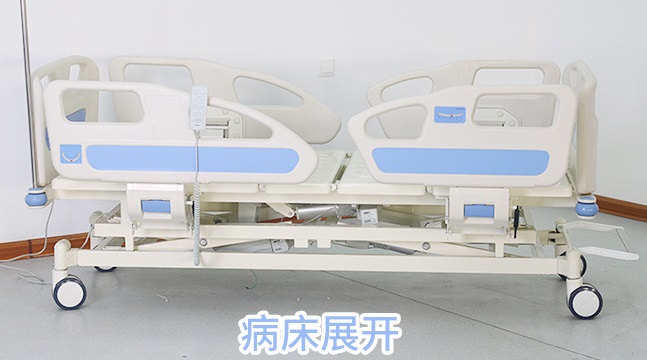 electric-2023081616921556038412169 - copy.jpg